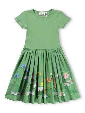 Molo Cissa - Flora Collector