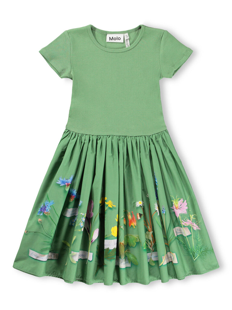 Molo Cissa - Flora Collector