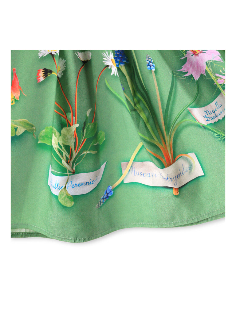 Molo Cissa - Flora Collector