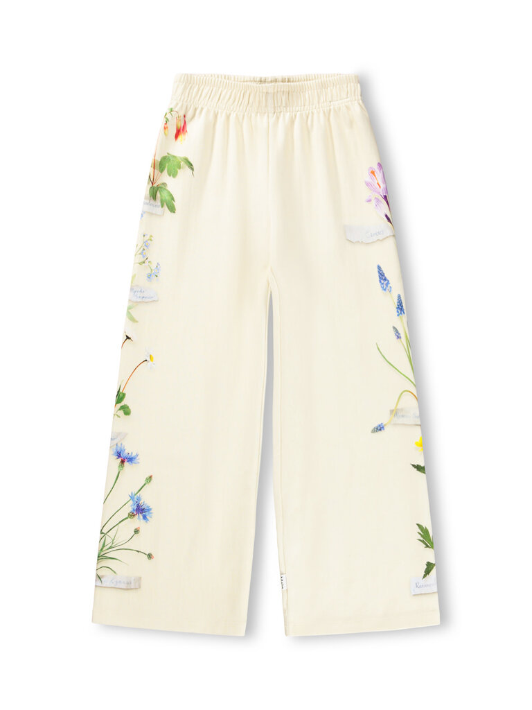 Molo Aurita - Flora Collector