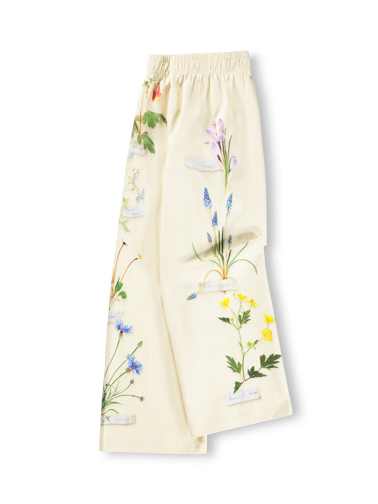 Molo Aurita - Flora Collector