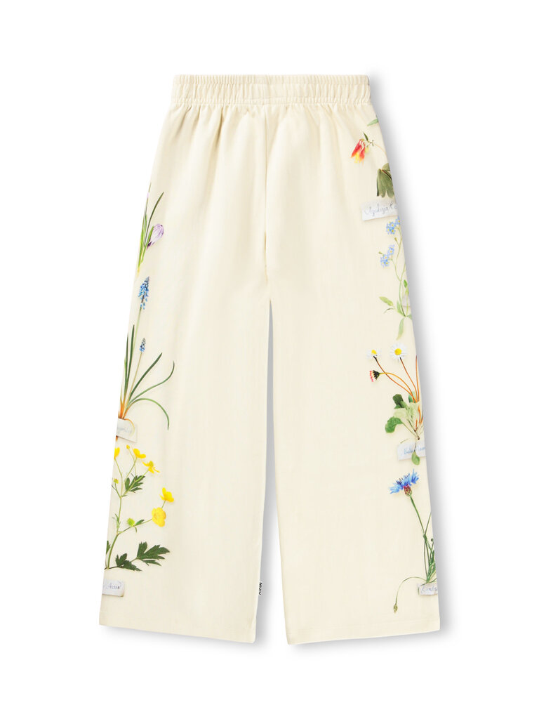 Molo Aurita - Flora Collector