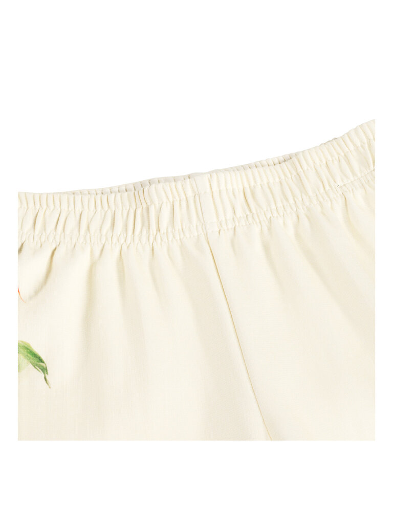 Molo Aurita - Flora Collector