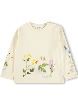 Molo Mountoo - Flora Collector