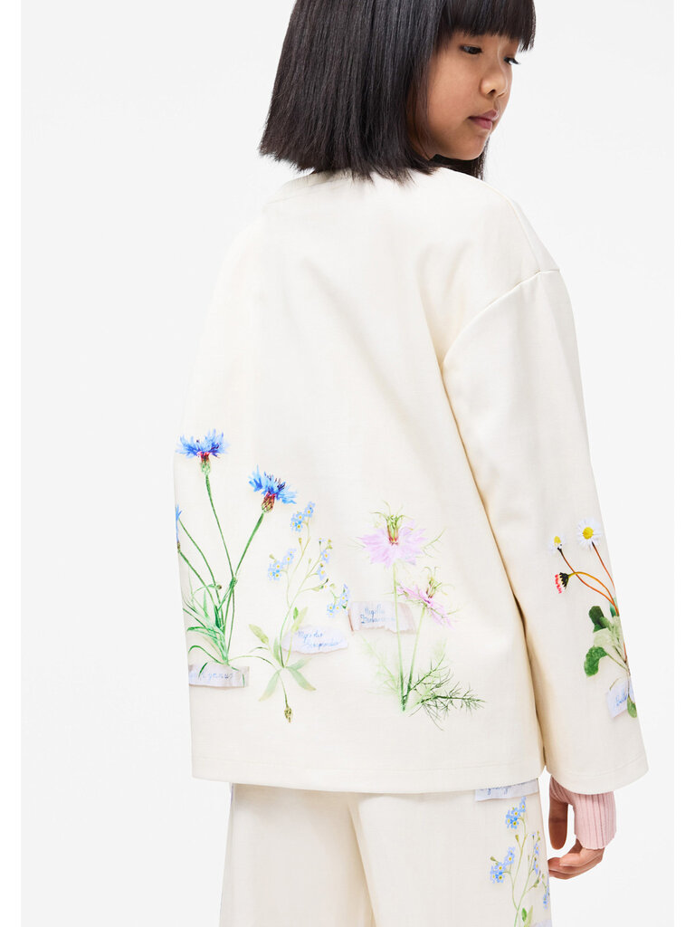 Molo Mountoo - Flora Collector