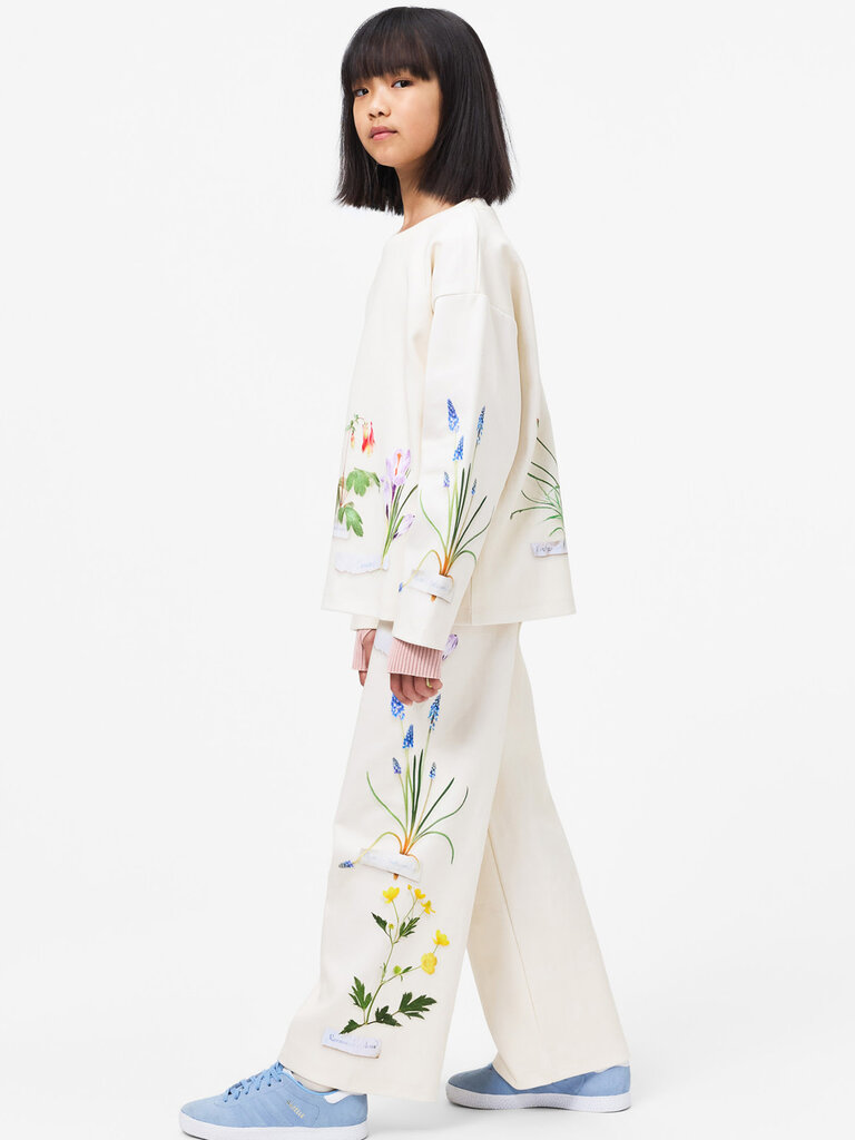 Molo Mountoo - Flora Collector