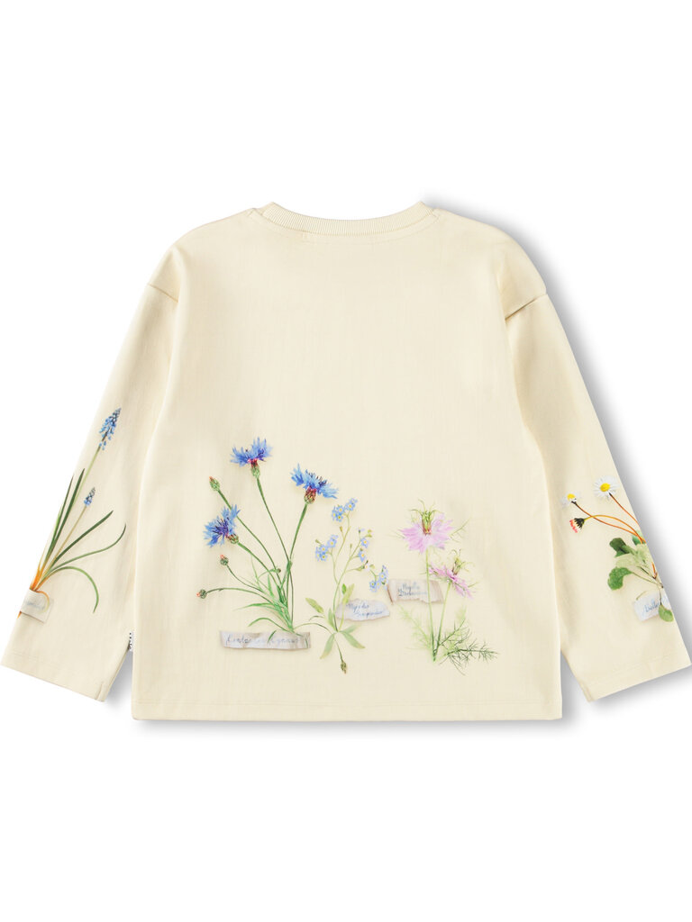 Molo Mountoo - Flora Collector