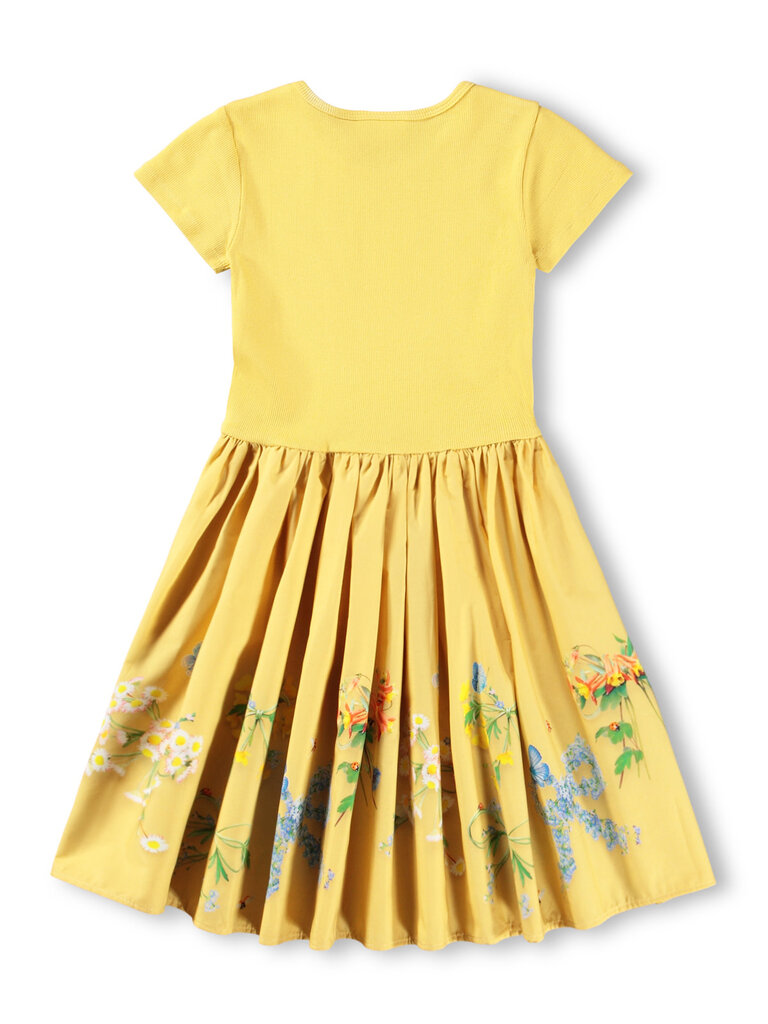 Molo Cissa - Dressy Bows