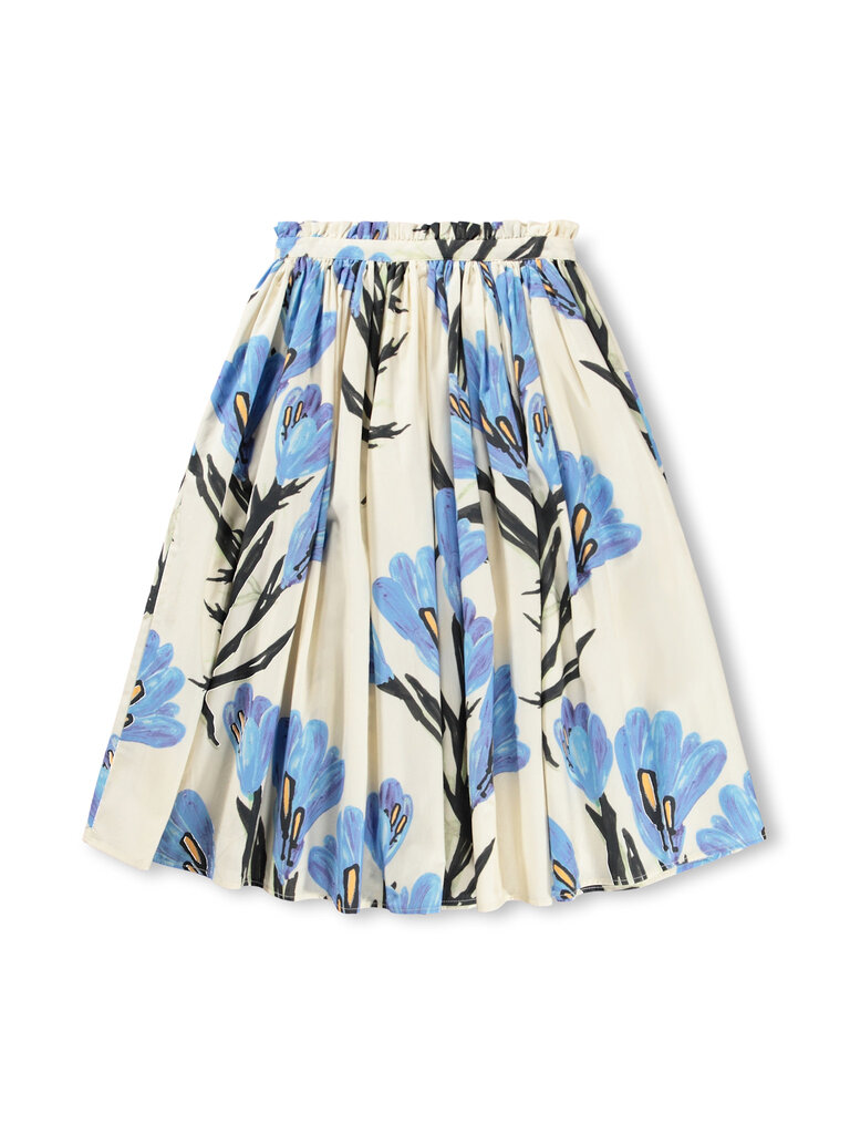 Molo Brisali - Painted Crocus