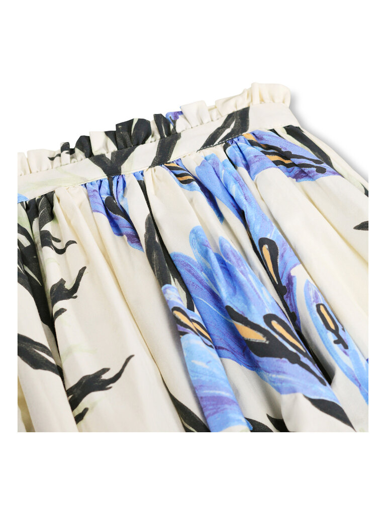 Molo Brisali - Painted Crocus