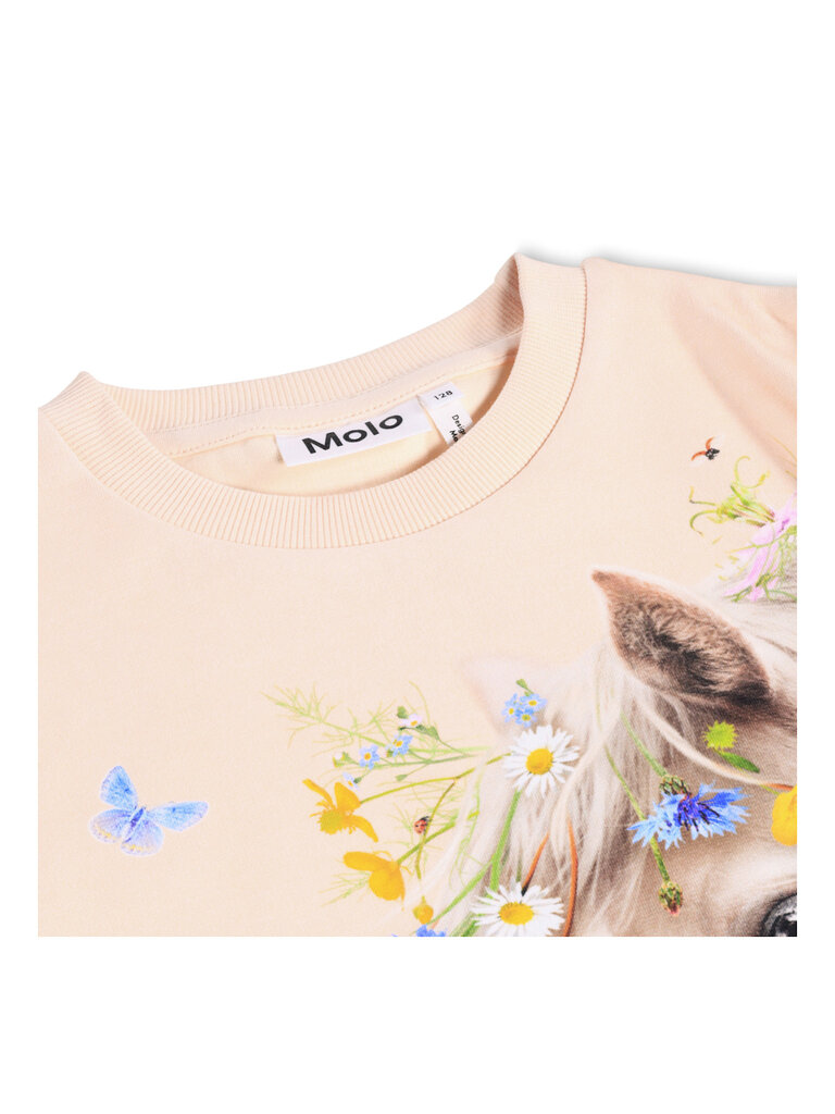 Molo Mountoo - Meadow Horse