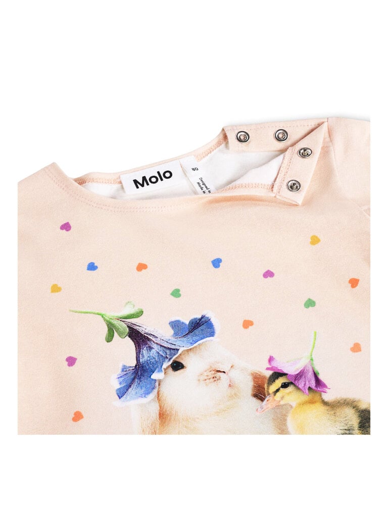 Molo Eline - Mini Party