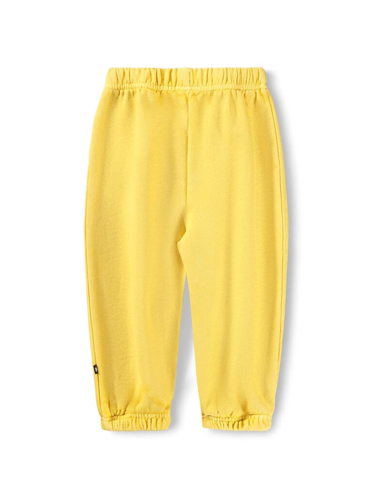 Molo Simon - Sunshine