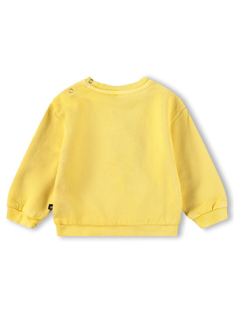 Molo Dear - Sunshine