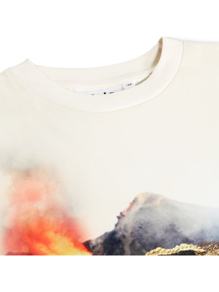 Molo Riley - Hot Spring Dinos