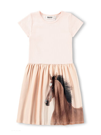 Molo Cissa - Wild Pony