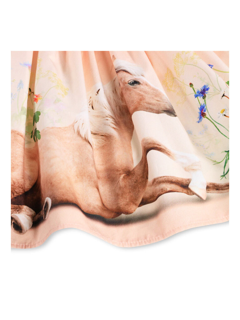 Molo Brenda - Siesta