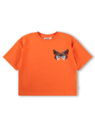 Molo Reinette - Love