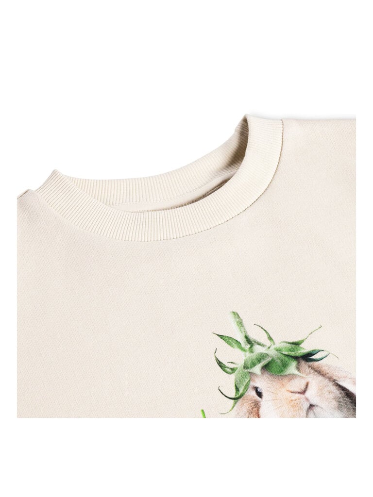 Molo Maxi - Photobooth