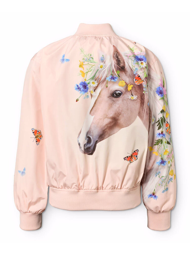 Molo Haliva - Meadow Horse