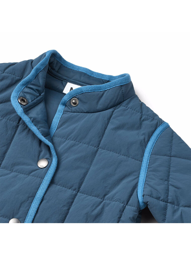 Molo Harrie - Oceanica