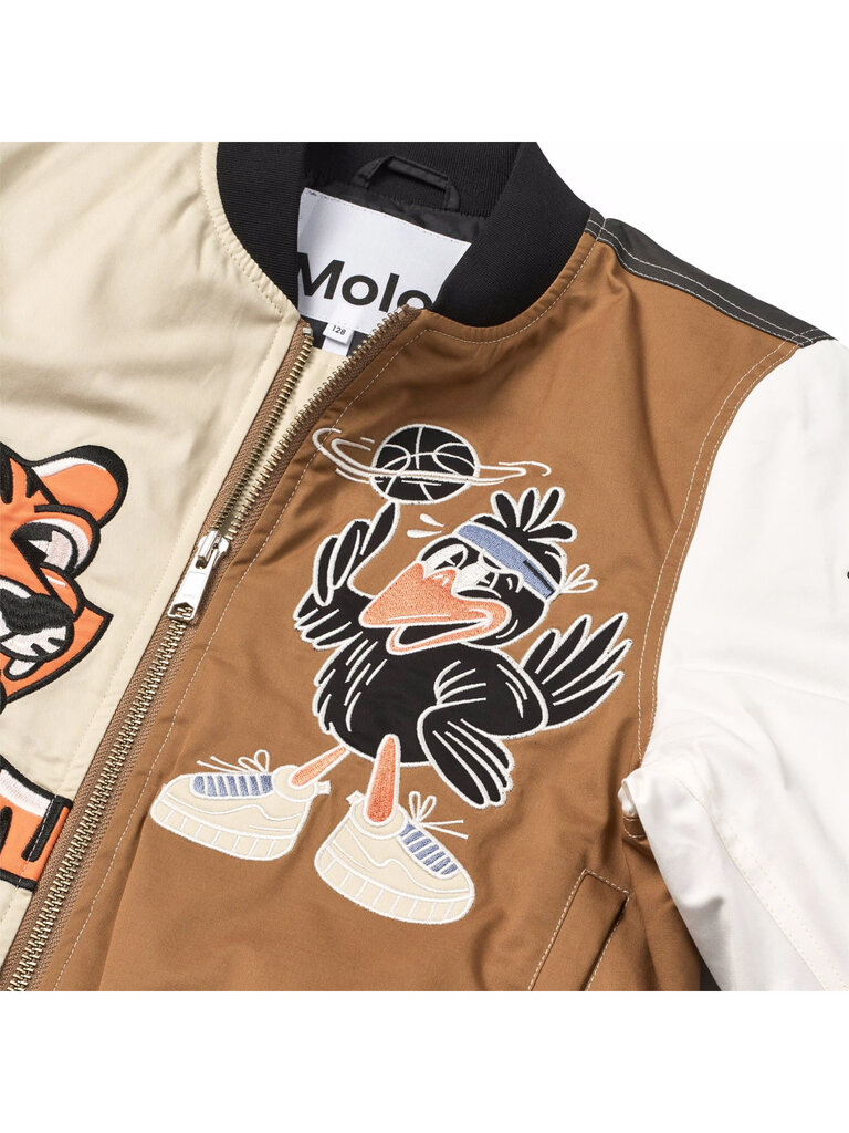 Molo Hedley - Basket Comics