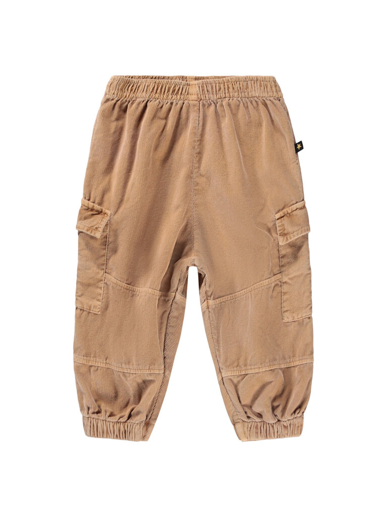 Molo Sae - Pomeranian