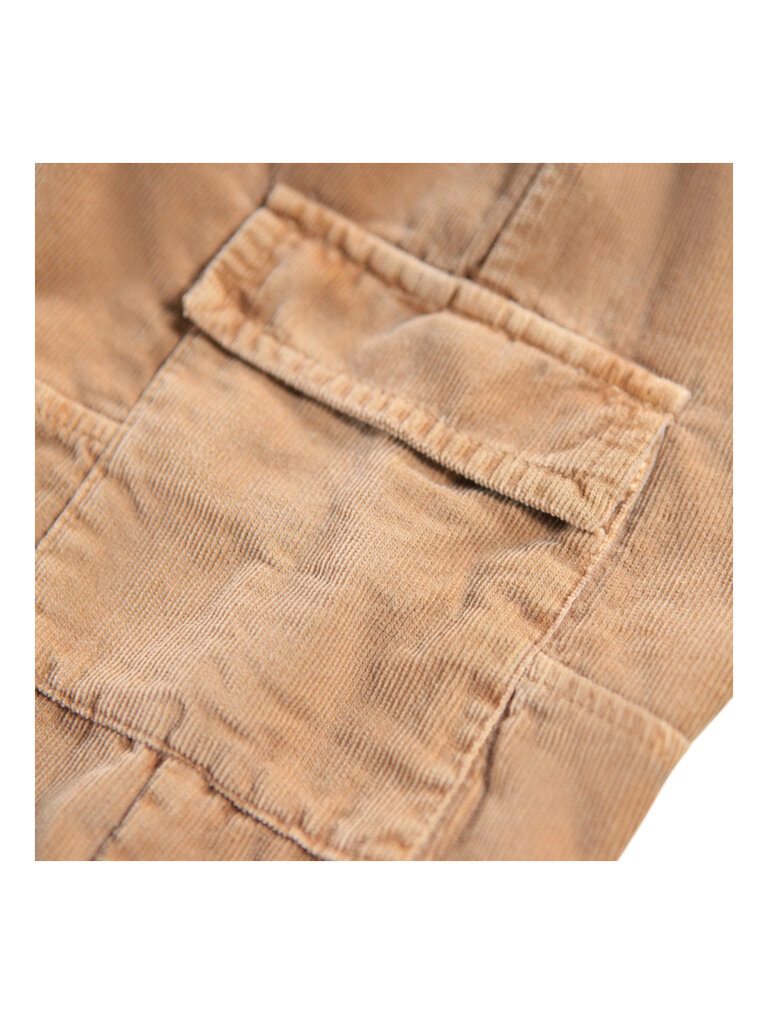 Molo Sae - Pomeranian