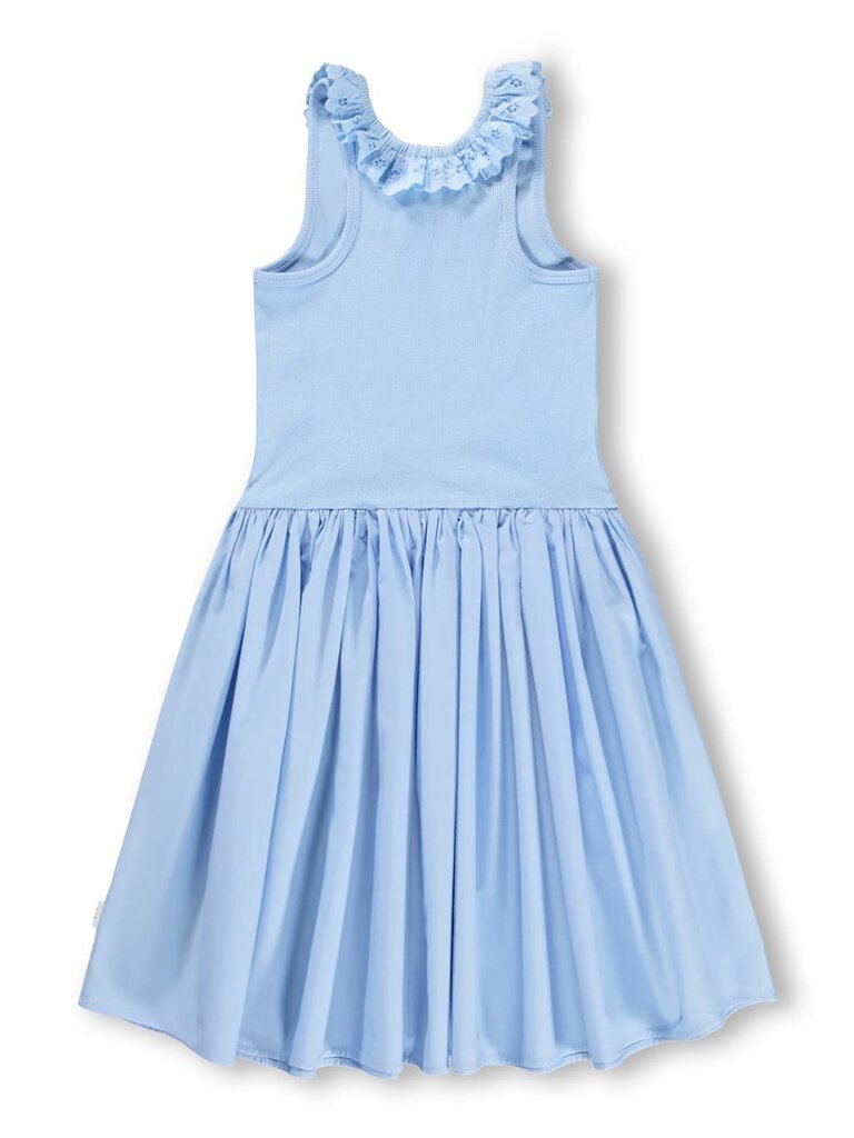 Molo Croco - Sparkling Sea