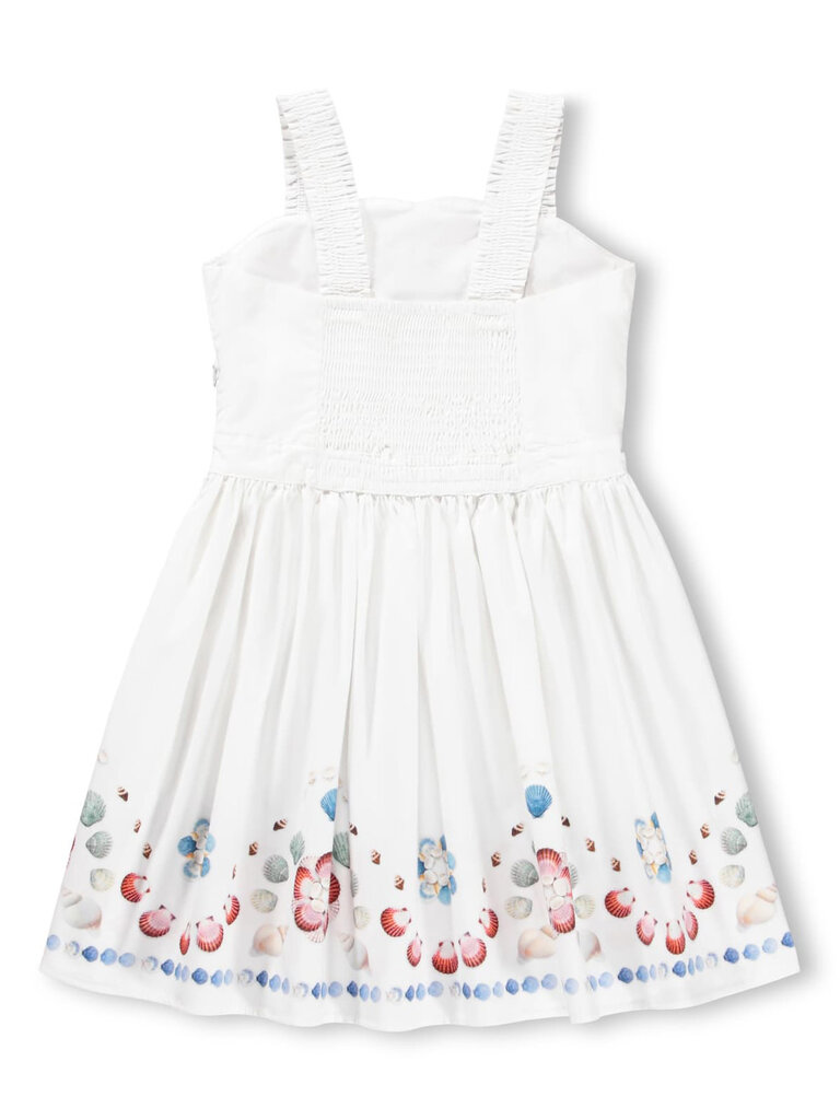 Molo Chelley - Shelltastic