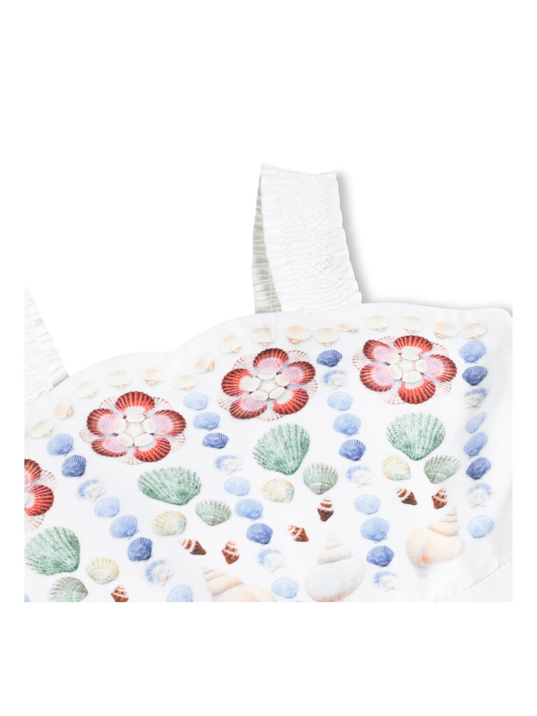 Molo Chelley - Shelltastic