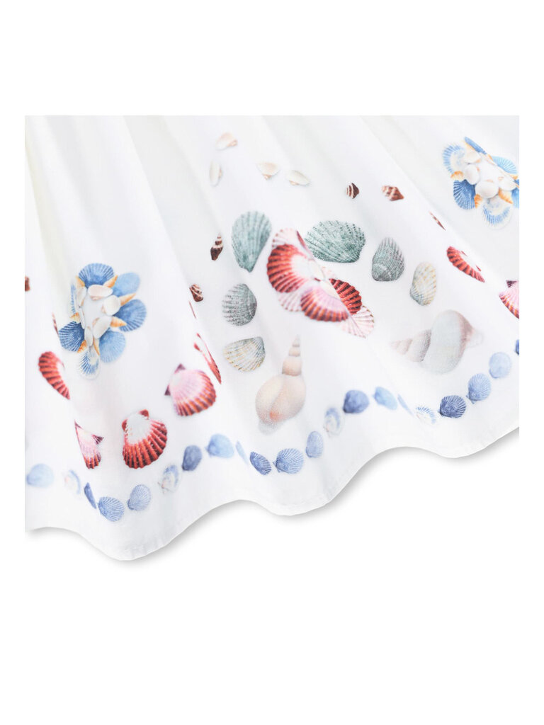 Molo Chelley - Shelltastic