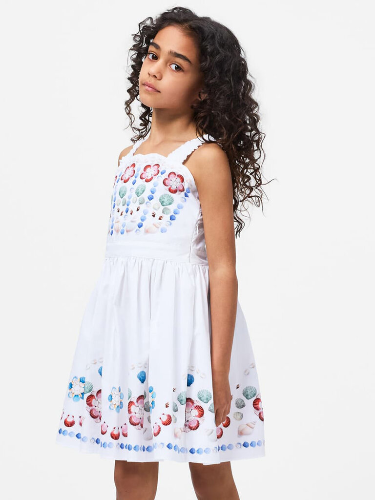 Molo Chelley - Shelltastic