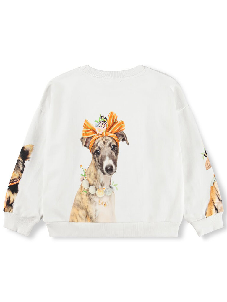 Molo Maxi - Beach Ready