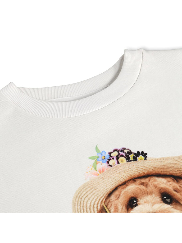 Molo Maxi - Beach Ready