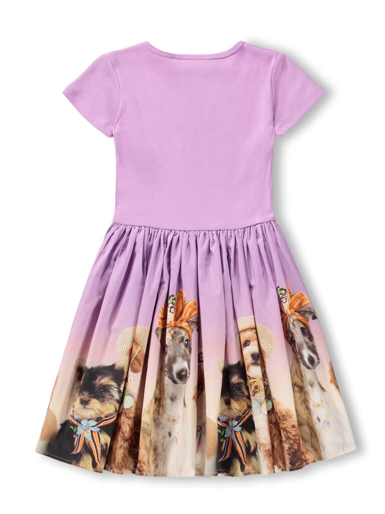 Molo Cissa - Beach Ready