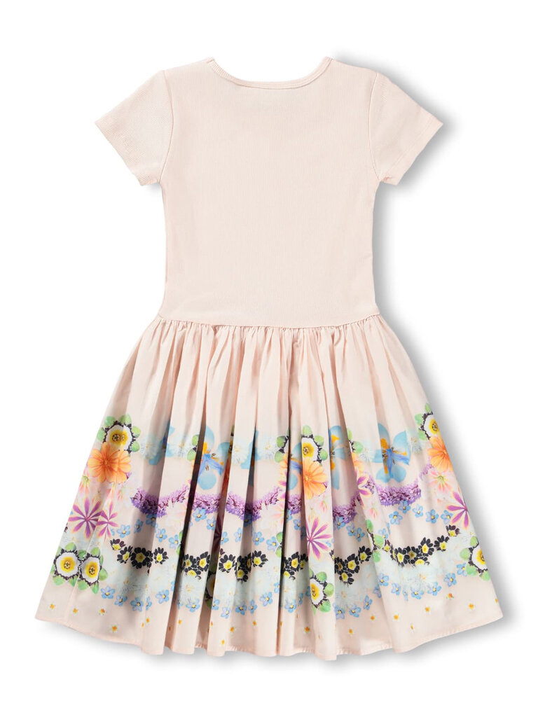 Molo Cissa - Floral Icing