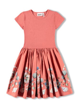 Molo Cissa - Decoration Shells