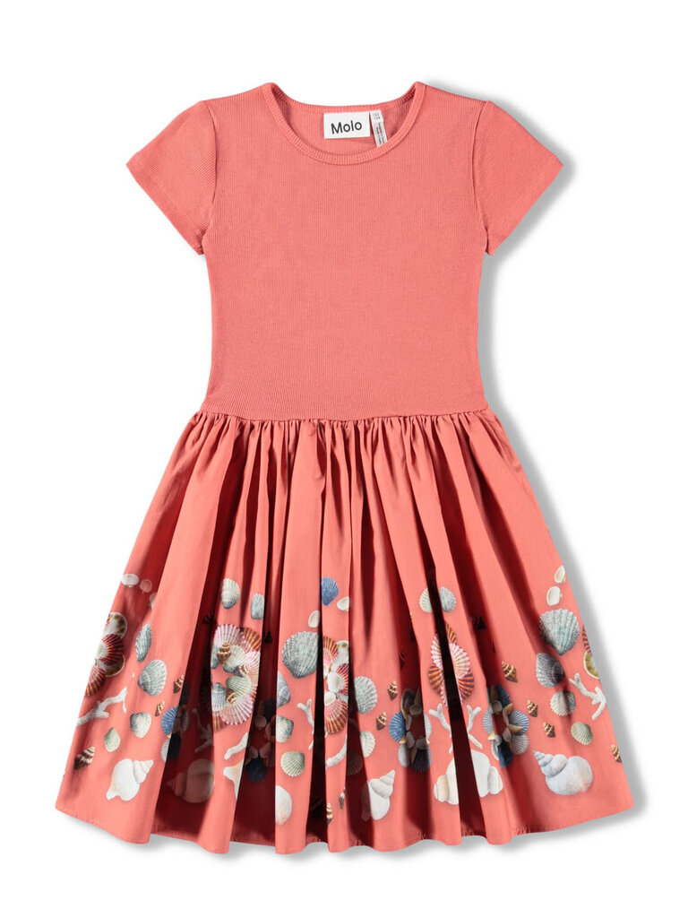 Molo Cissa - Decoration Shells