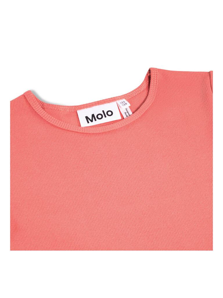 Molo Cissa - Decoration Shells