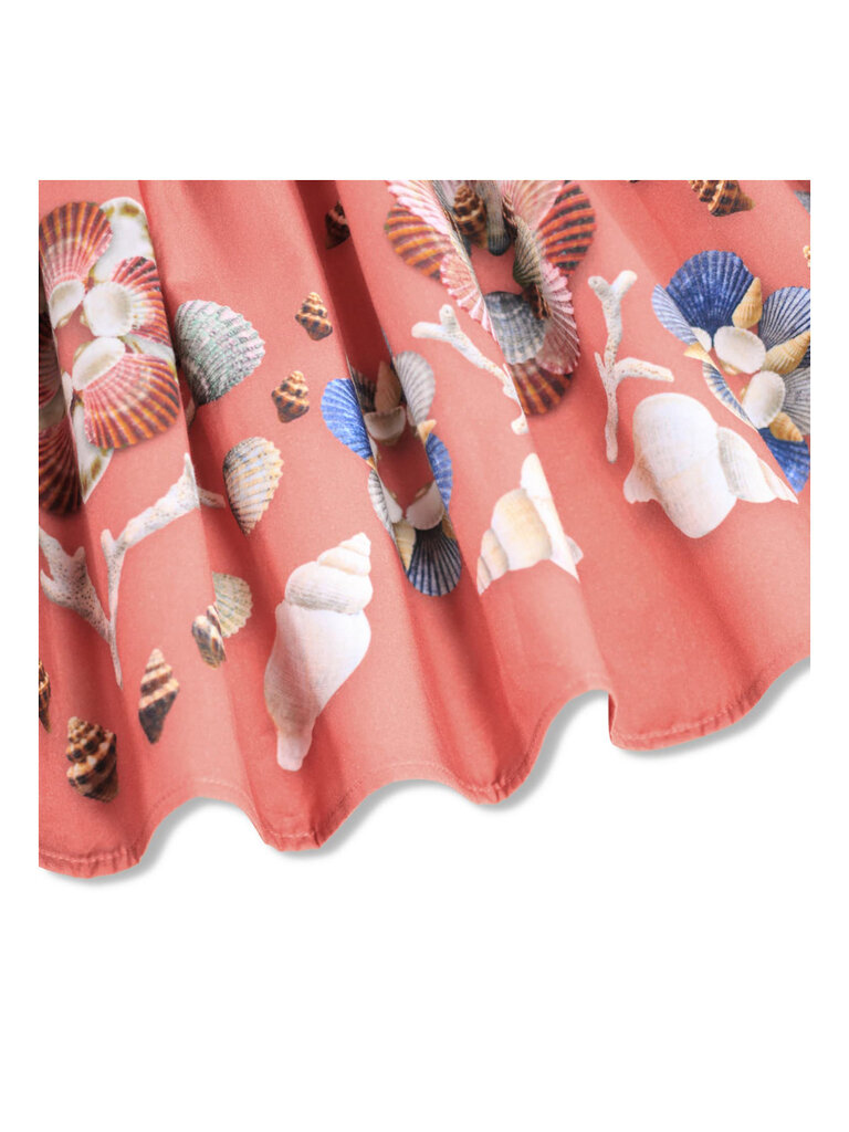 Molo Cissa - Decoration Shells