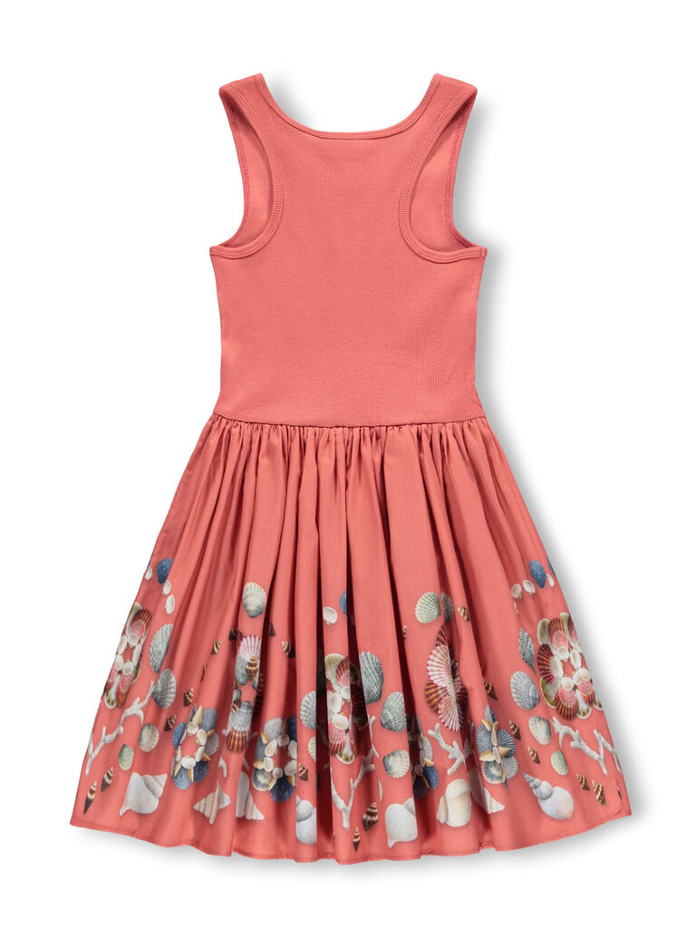 Molo Cassandra - Decoration Shells