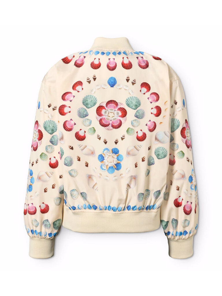 Molo Haliva - Shelltastic