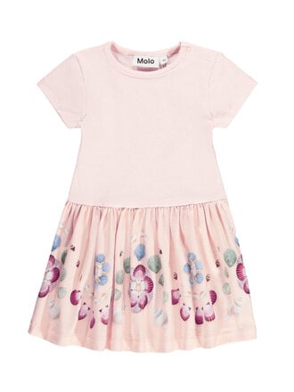 Molo Catja - Shells Border