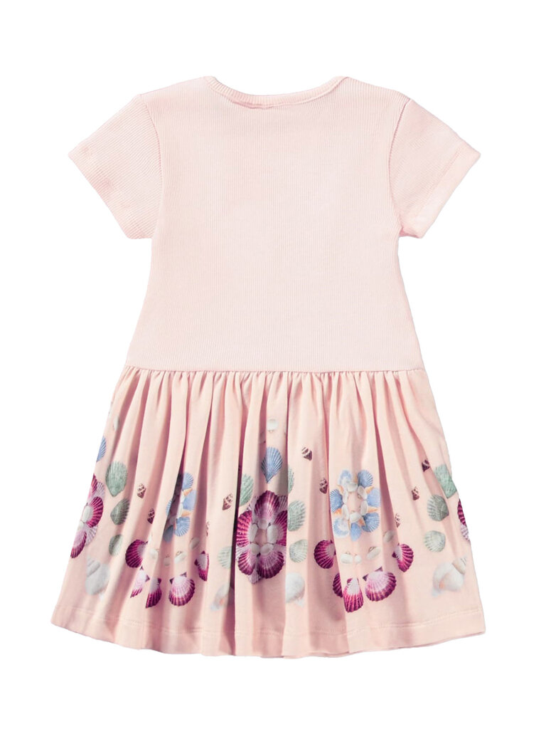 Molo Catja - Shells Border