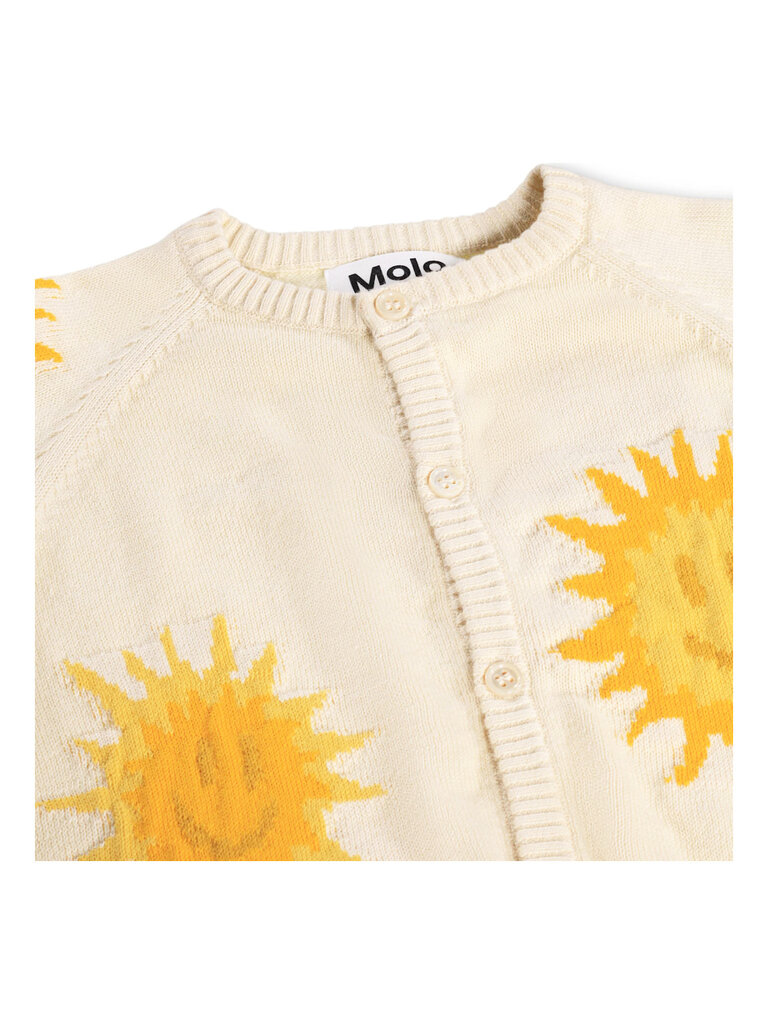 Molo Brody - Summer Sand