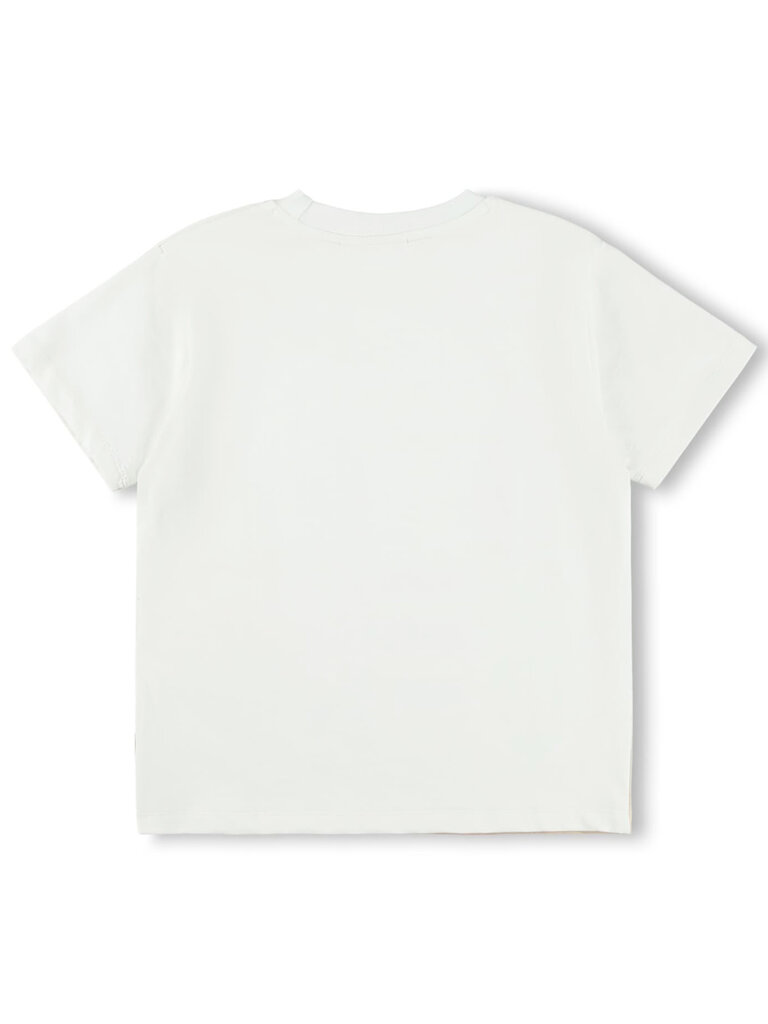 Molo Riley - Board Line-up