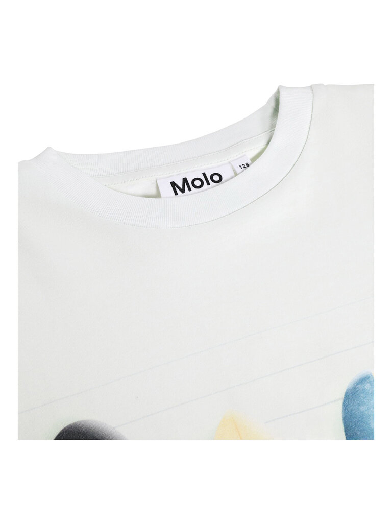 Molo Riley - Board Line-up