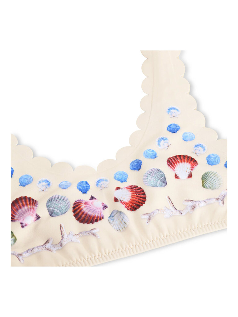 Molo Nolina - Sea Shell Deco