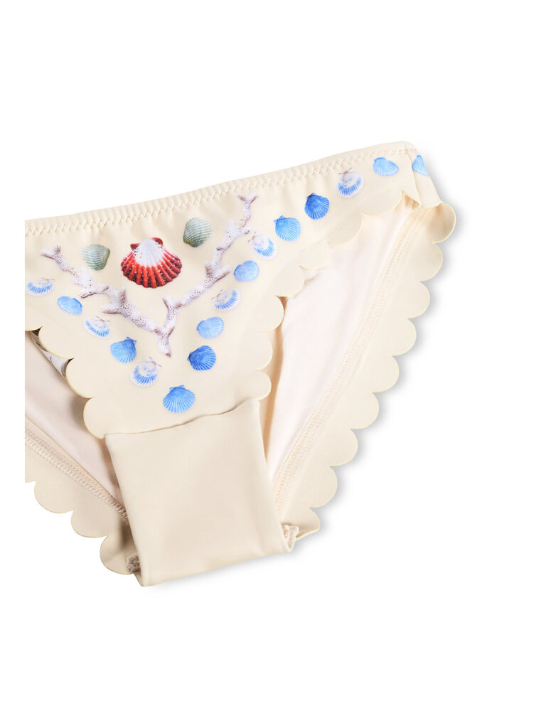 Molo Nolina - Sea Shell Deco